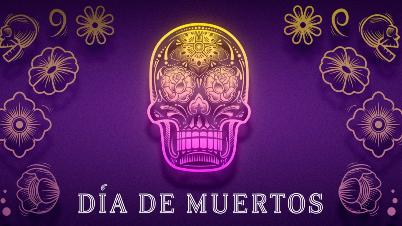 Photography by : Moises Fuentes